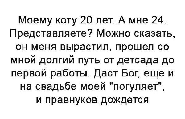 ��� �������� �������� - 13 ��� 2018 � 02:44