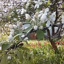 �������� ������ �� ������� ���� ����������