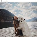 ���� �����, ������������ - ��������� 7 ������ 2018 � ������ ������ ��������
