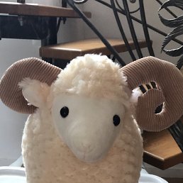 ˸��, �����, 46 ���
