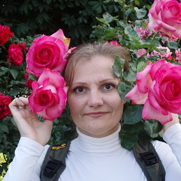 , , 52 