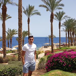 ����, �����