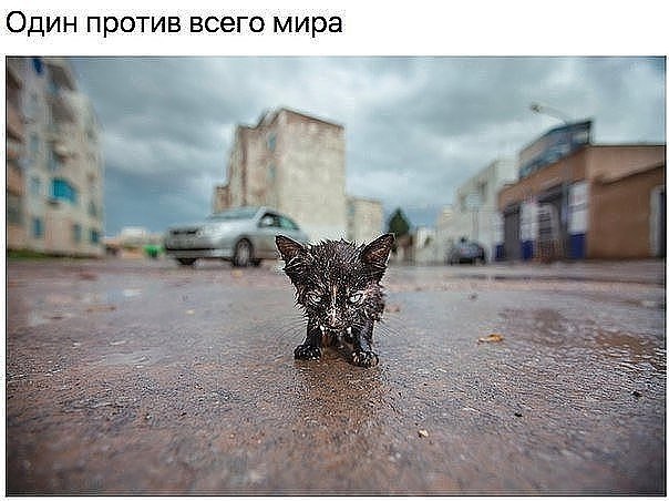 ***Victoria Viktorovna*** - 14  2018  11:11