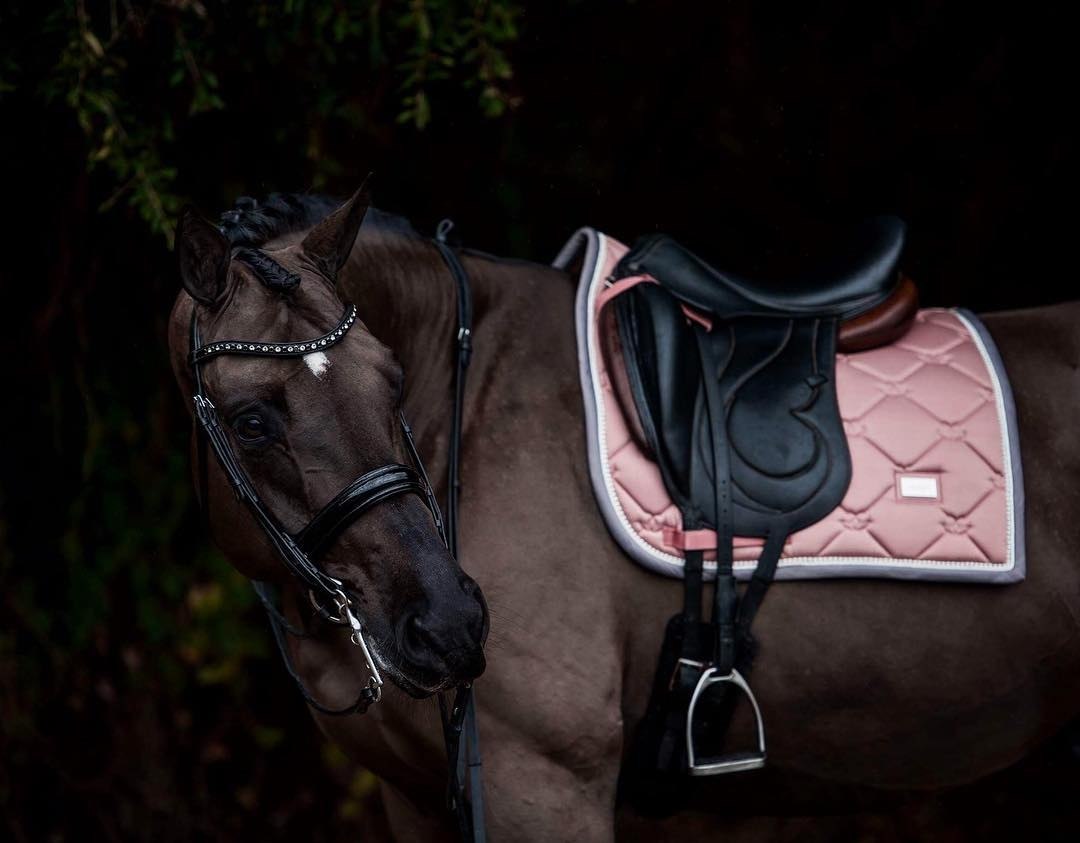  -   ! - 14  2018  02:34