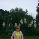 ���� ����, ������, 65 ��� - ��������� 28 ������� 2017 � ������ ���� ����������