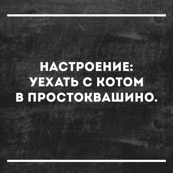   -   - 11  2018  03:35