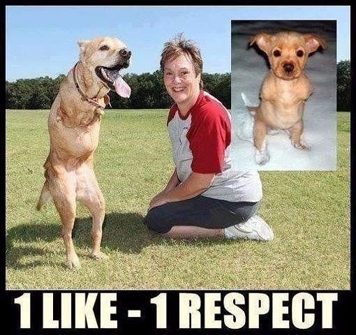   ,     ,    