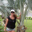 �������, ������� 2017 �� ������� ���� ����������