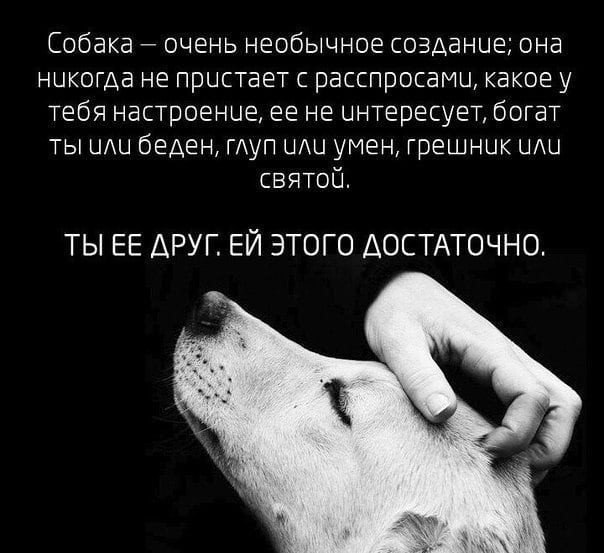     - 17  2018  02:29