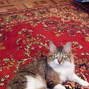 ���� �����, ������, 63 ���� - ��������� 11 ������� 2018 � ������ ������ ��������