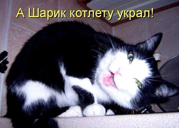 -  - 23  2018  03:41