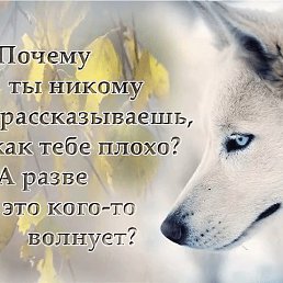 ���� �����, �����, 42 ���� - ��������� 20 ���� 2018