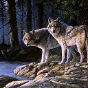 ���� ��������, �����������, 34 ���� - ��������� 18 ����� 2018 � ������ ������ ��������