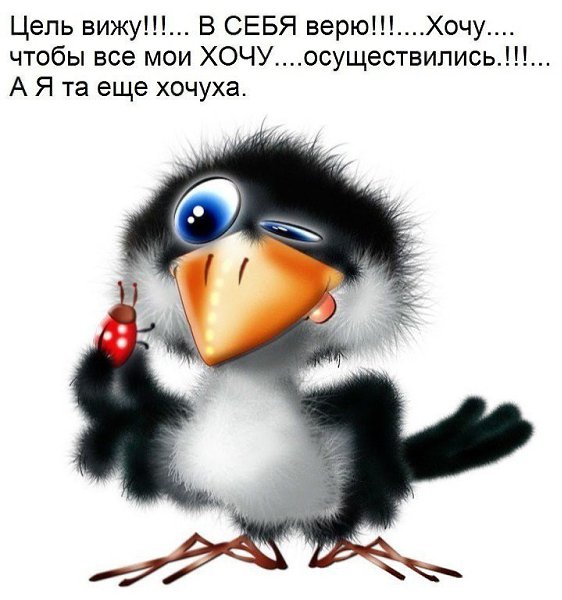  - 26  2018  07:04