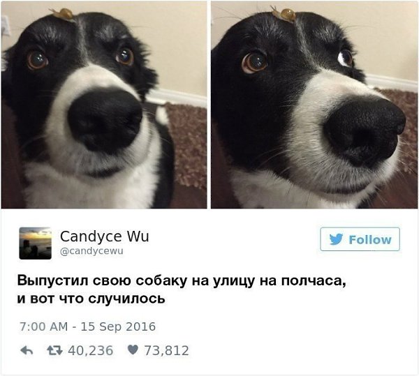       ? - 4