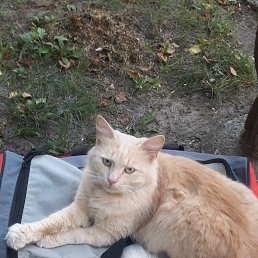 ���� Mikhail, ������ - ��������� 31 ����� 2018