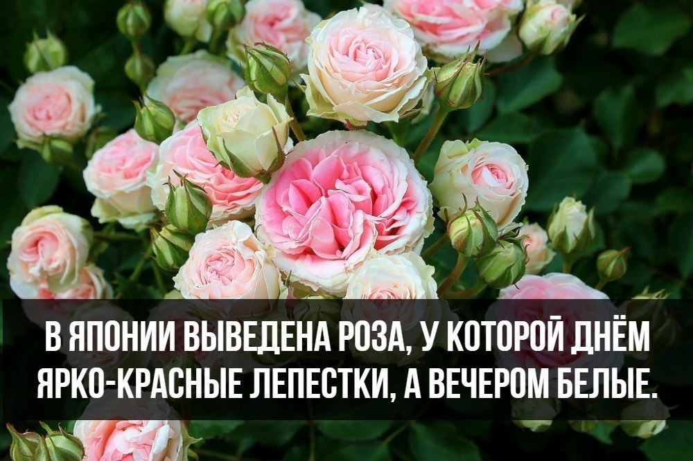   :    - 30  2017  06:09