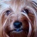  Vyacheslav, , 62  -  13  2018    