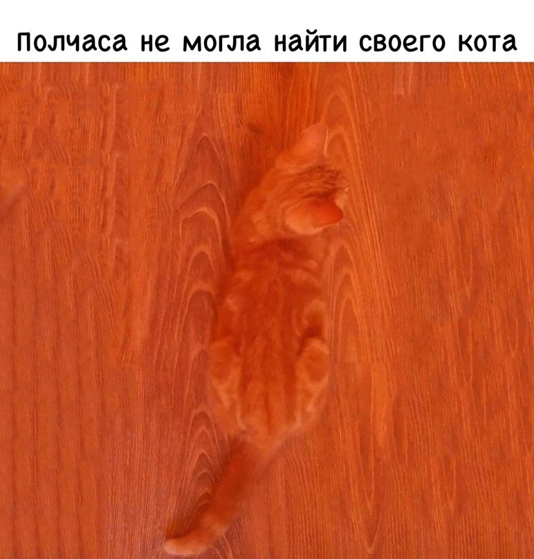      - 10  2018  03:05