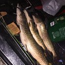 ���� ������, ������, 45 ��� - ��������� 24 ������ 2017 � ������ ������ ��������