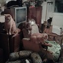 ���� ������, �����, 59 ��� - ��������� 19 ����� 2018 � ������ ������ ��������