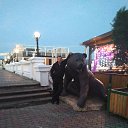 ���� ���������, ������-��-����, 43 ���� - ��������� 23 ���� 2018 � ������ ���� ����������