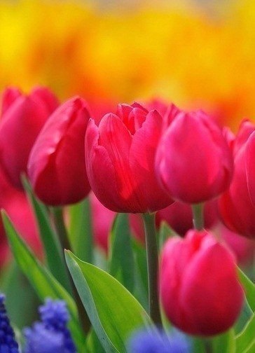   - 3  2018  03:45 - 2