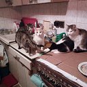 ���� ������, �����, 59 ��� - ��������� 8 ����� 2018 � ������ ������ ��������