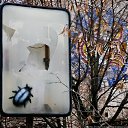 ���� ����, ���������, 43 ���� - ��������� 28 ���� 2018 � ������ ������ ��������