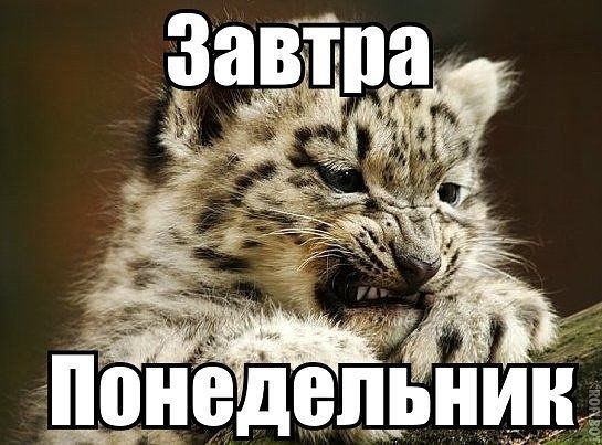 ***Victoria Viktorovna*** - 7  2018  16:02