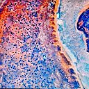  ,  -  18  2017   KOSMOS