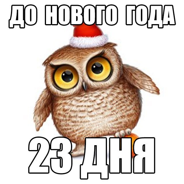   - 8  2017  19:42