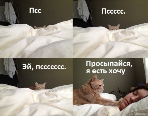 � ����� �����! - 16 ������ 2018 � 07:54