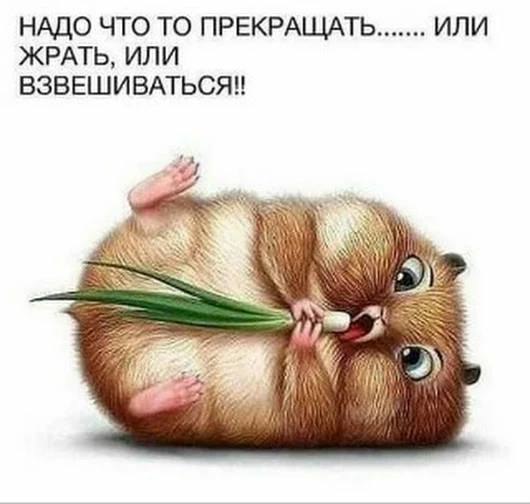 <>