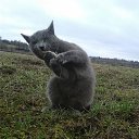 ���� ����, �������, 57 ��� - ��������� 19 ��� 2018 � ������ ������ ��������