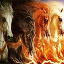 ���� �������, ������ - ��������� 7 ���� 2018 � ������ ��������