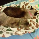 ���� �������, ��������, 55 ��� - ��������� 6 ������� 2018 � ������ ���� ����������