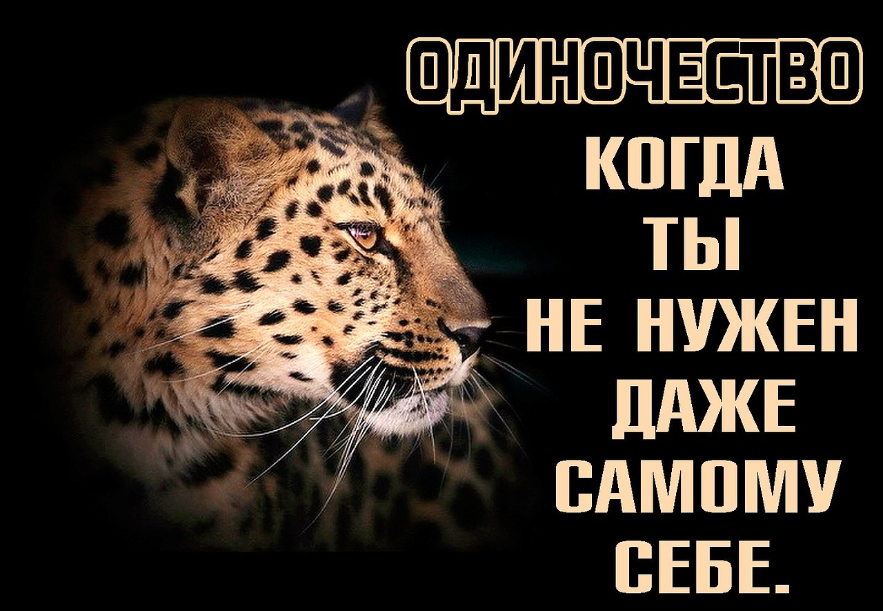  ... - 31  2018  19:23