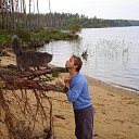  Viktor,  -  22  2017    