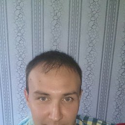 �����, ������, 37 ���