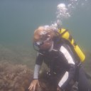 ���� ����, �������, 66 ��� - ��������� 1 ������ 2018 � ������ �2017� � ����� ߻