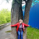 ���� ������, �����, 60 ��� - ��������� 23 ���� 2018