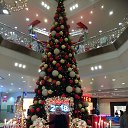 25.12.2017�.������� ������� ������ �� ������� ���� ����������