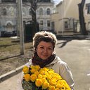 ���� �������, ������, 49 ��� - ��������� 8 ������ 2018 � ������ ���� ����������