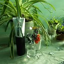 ���� ����, ����, 69 ��� - ��������� 8 ������� 2017 � ������ ���� ����������