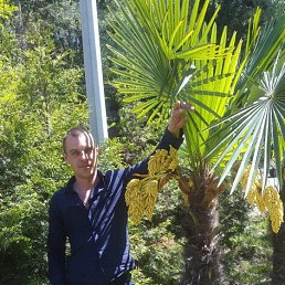 ������, ���������, 42 ����