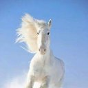 ���� ����� ���������, �����������, 46 ��� - ��������� 17 ���� 2018