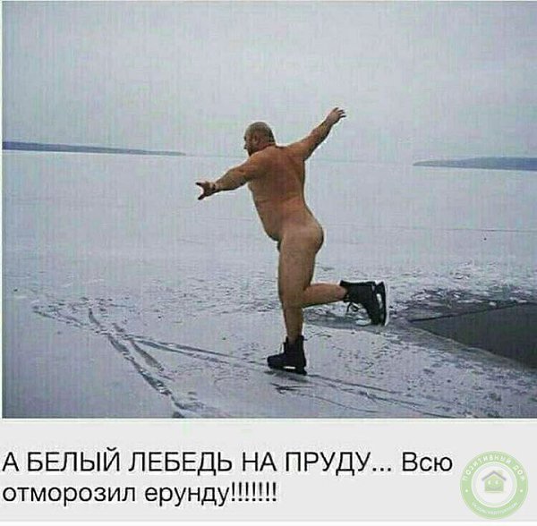    - 6  2018  03:41