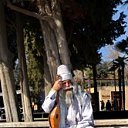  ,  -  22  2018     ӻ