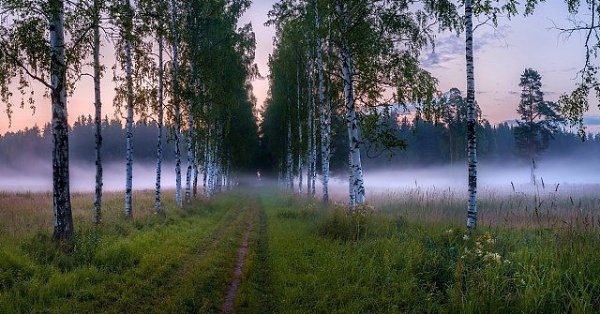 Найти б ДОРОГУ в КРАЙ, где пахнет СЧАСТЬЕМ... И больше не искать обратного ПУТИ... - 2